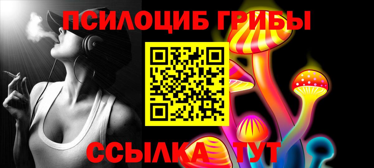 Конаково  Галлюциногенные грибы прущие грибы  Вход с VPN 